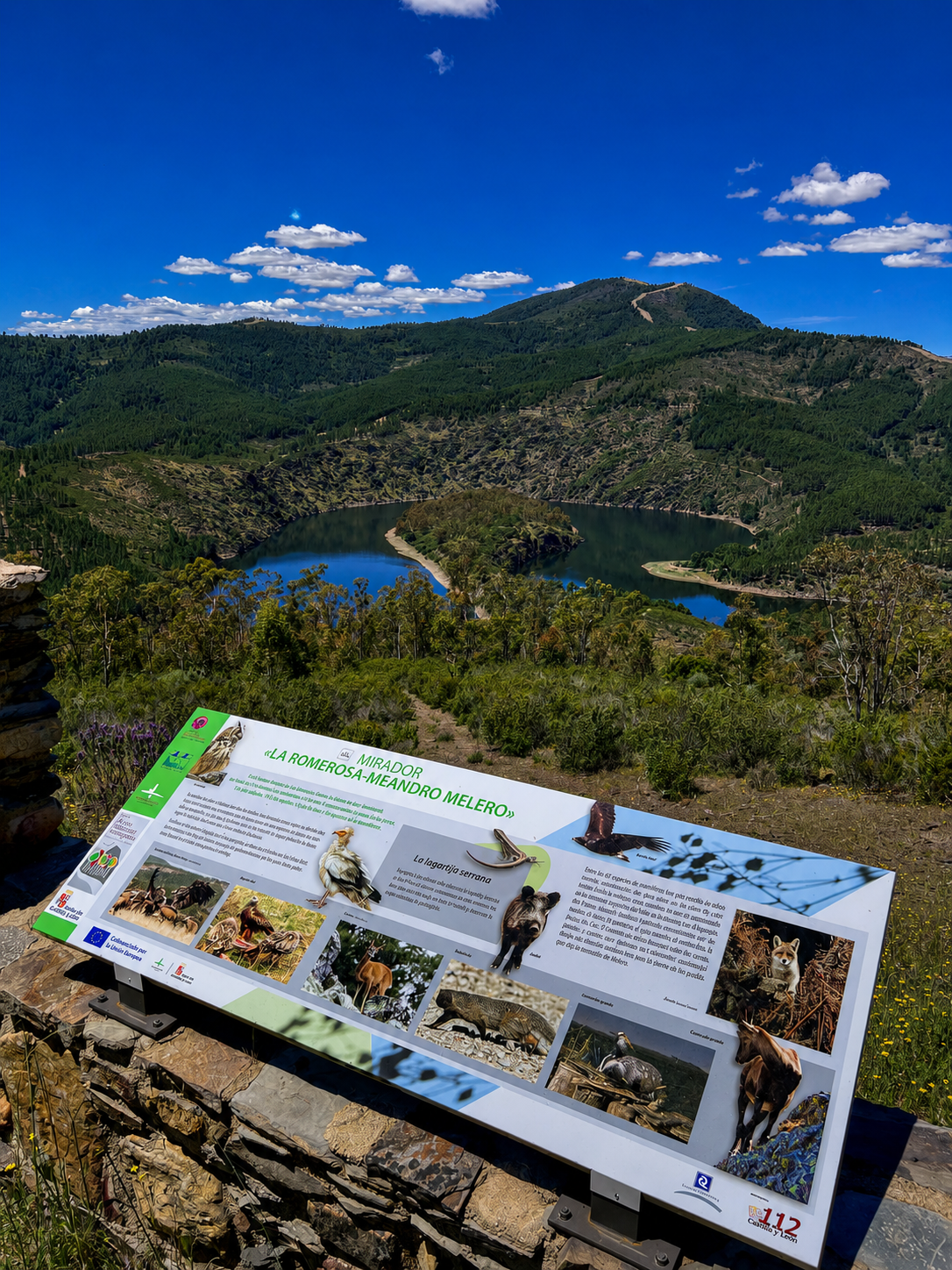 Meandro de Melero / Mirador de La Antigua