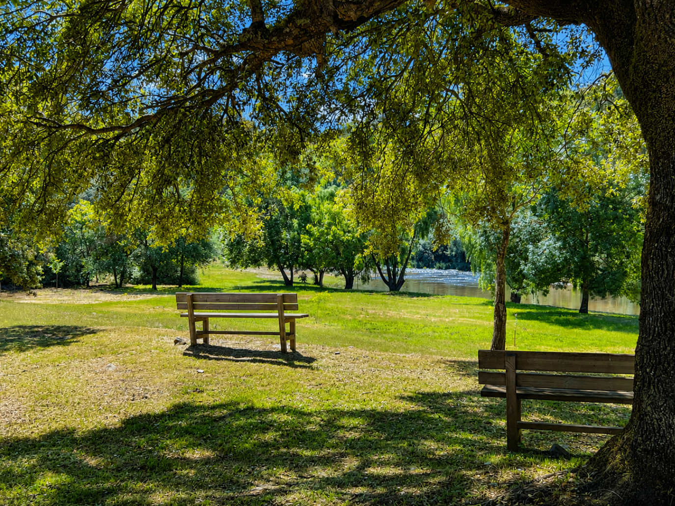Zona de sombra y bancos junto al río en Sotoserrano